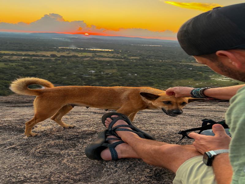 Friendly sunset watcher