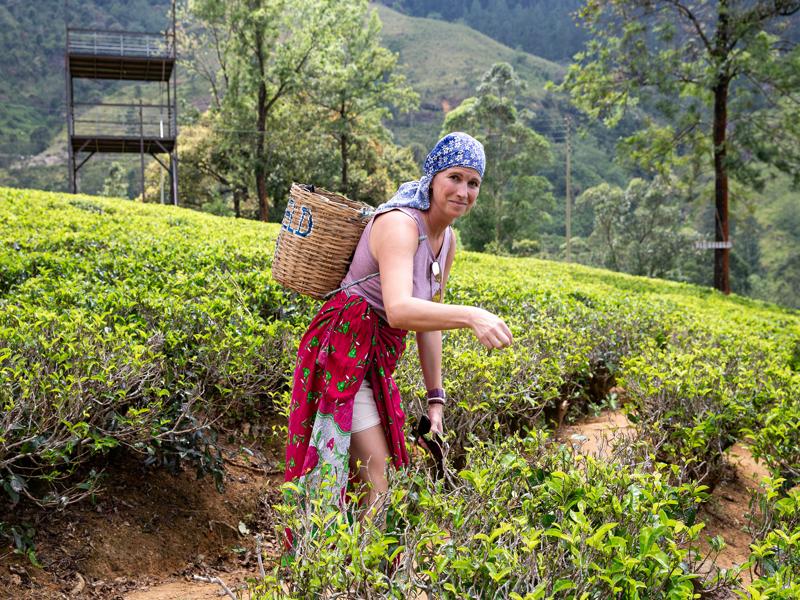 On our tour we tried out picking tea
