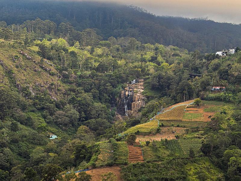 Waterfall along the tea fields