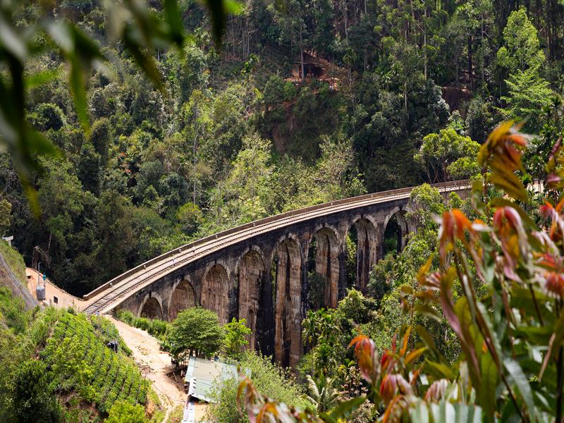 The Nine Arch bridge from above