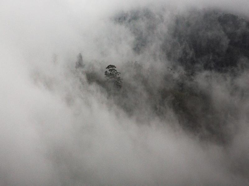 Back at our hotel, the mist had come in for the night