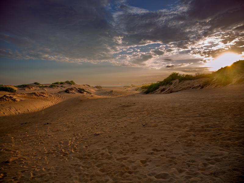 We were able to explore some of the dunes