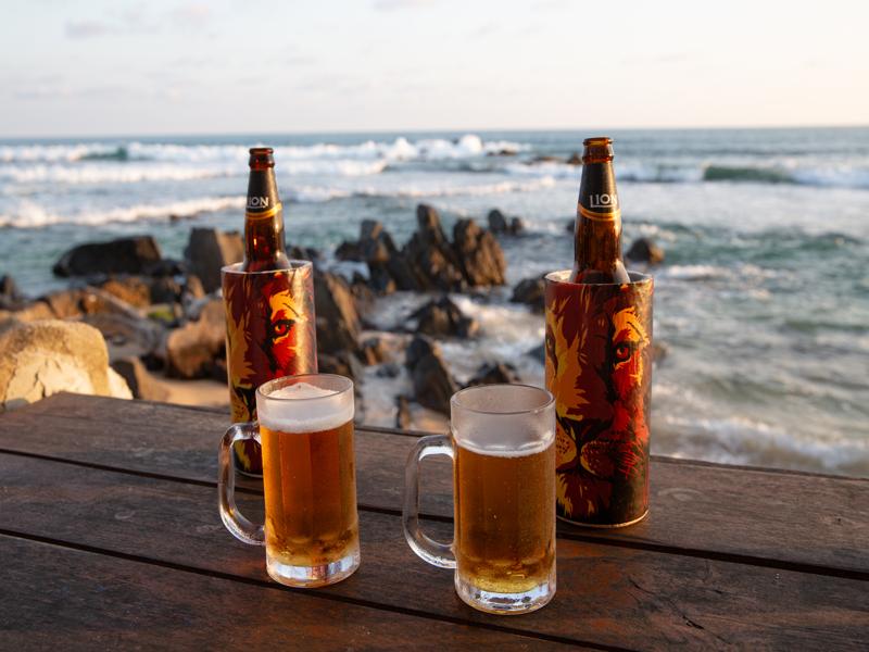 Lion lagers at a beach cafe for sunset