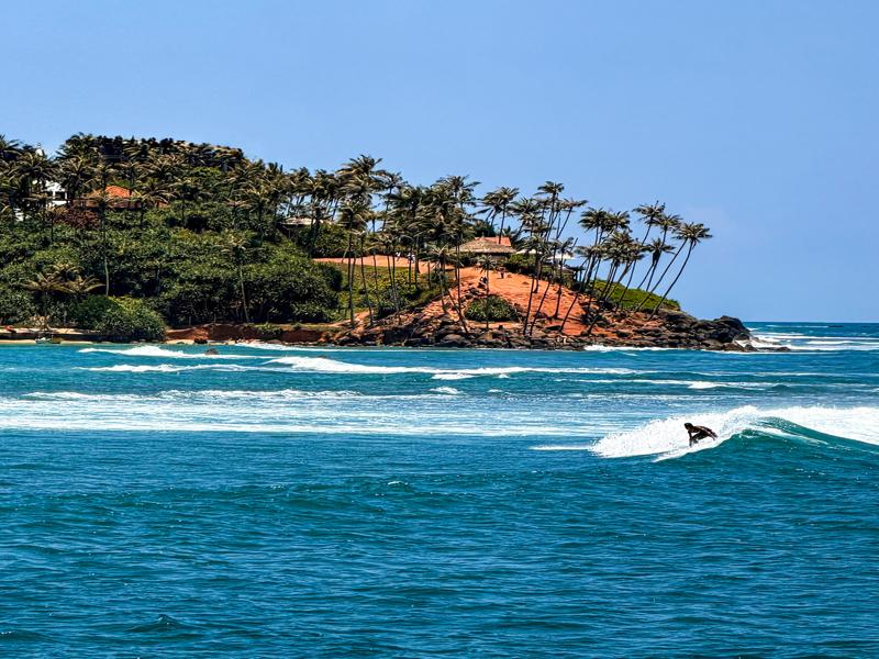 Surfer in front of coconut tree hill