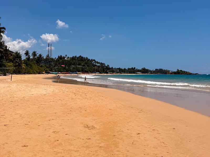 Mirissa beach is one of the most popular