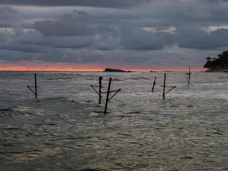 Stilt poles traditionally used by Sri Lankan fisherman