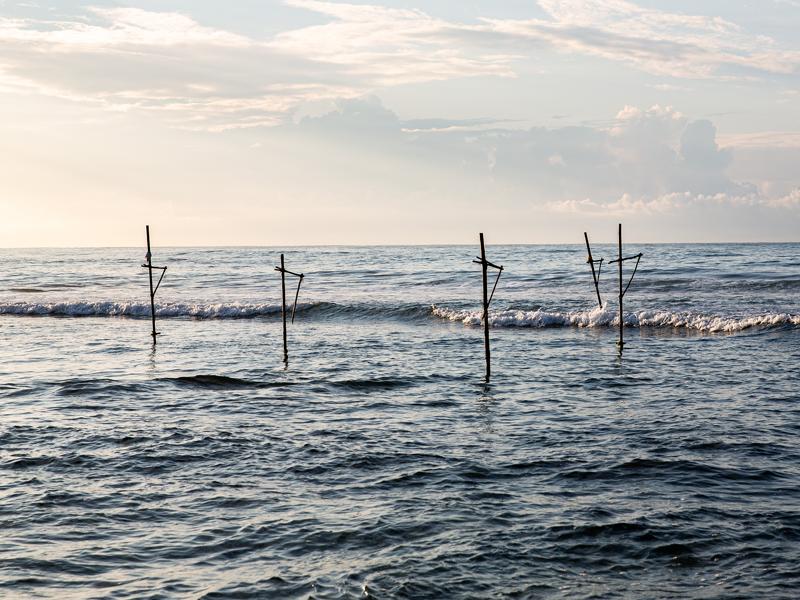 Stilts in the ocean