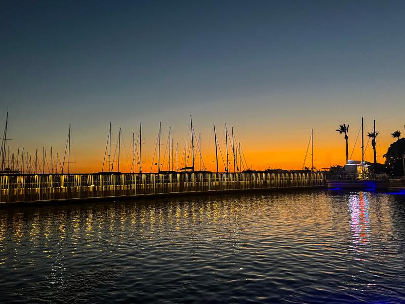 Boats in the marina